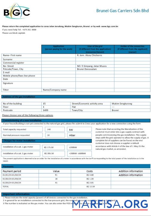 Realistic Brunei Gas Carriers gas business utility bill template in Word and PDF format